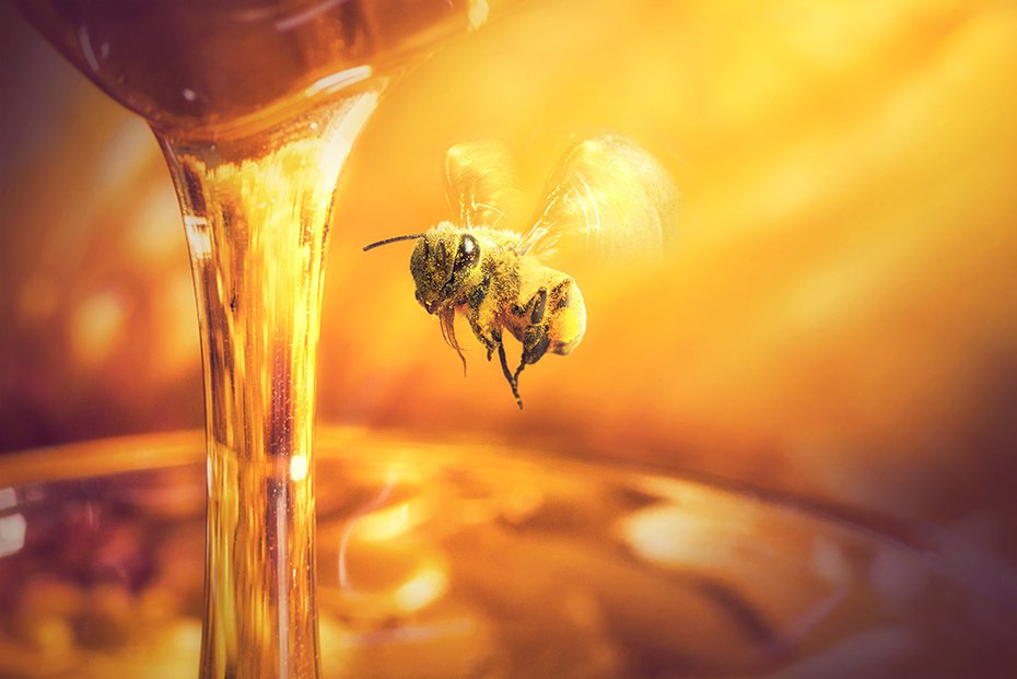 Wil jij honing aan je kont?